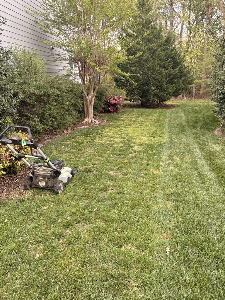 Backyard edging and mowing
