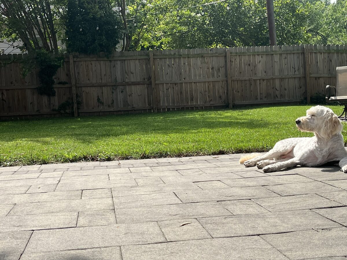 Backyard patio and lawn
