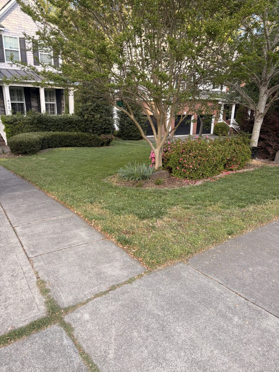 Trimmed front yard landscaping